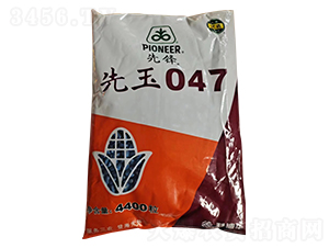 ����047��������-�д���ҵ