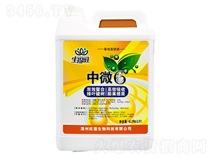 4L��΢6��΢��Ԫ��ˮ�ܷ���-������-��������