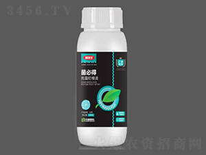 500g���ص�-�ڱ���-��ӱ����