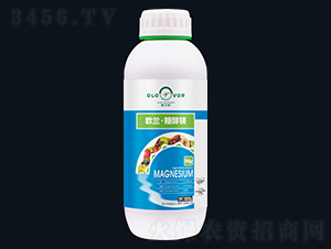 ŷ�����Ǵ�þ-ŷ����