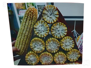 ®��9105-��������-������ҵ