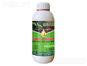 1kg�Ȱ������Ｄ���-�¹�����-��þ