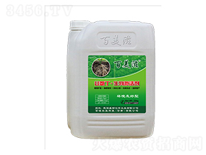 25Kg�Ȱ������Ｄ���-�¹�����-��þ