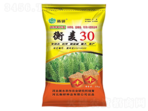 ����30-С������-������ҵ