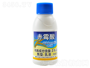 3%��ù������-Ǯ������