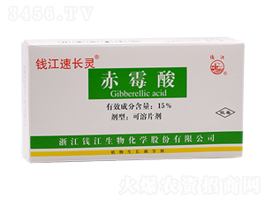15%��ù�����Ƭ��-Ǯ���ٳ���-Ǯ������