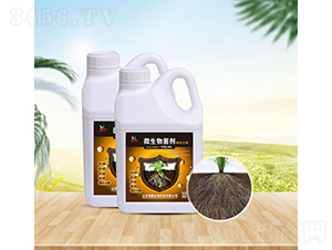΢�������-Ң˳����