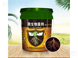 2��΢�������-Ң˳����