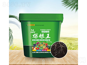 ����ֲ��ˮ�ܷ���-������-Ң˳����