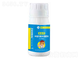 �Ǵ���300g-����