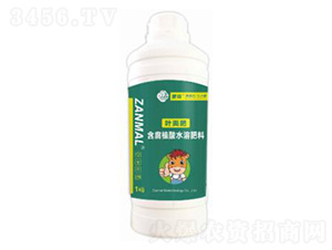 Ҷ���1kg-����