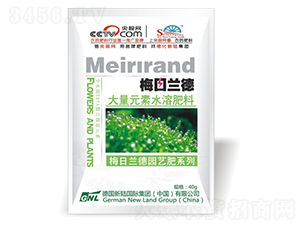 �߶�Ҷ���40g����װ��-�»���½