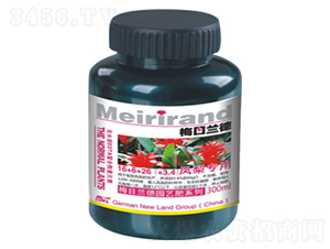 ����ר�ø߶�Ҷ��ʣ�300g��-�»���½