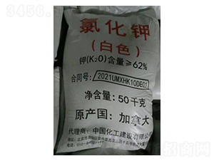 �Ȼ��ؼ��ô��ɫ����-׳��Ԫ