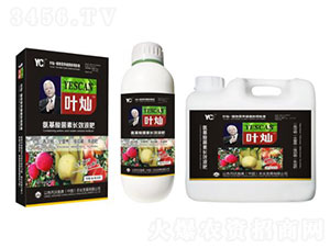 Ҷ��ƻ������ר�ø߶�Ҷ���-�»���½