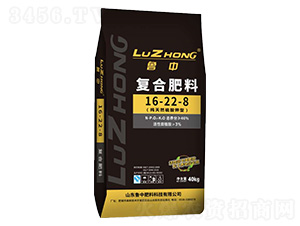 ���Ը�ֲ�Ḵ�Ϸ�-16-22-8-ũ����̬
