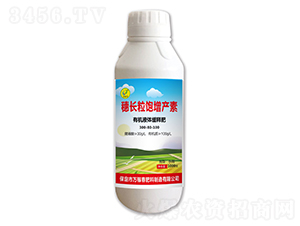 �л�Һ�建�ͷ�300-80-100-�볤����������-��ڴ�