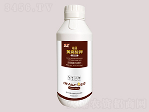 1000ml����Ƹ����-��-��ũ
