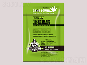 �ز��μ��120-³����ũ-��ũ