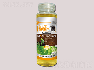 260g�Ǵ���-��-��ũ