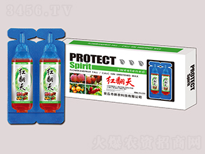 �췭�죨����ר�ã�-��ũ