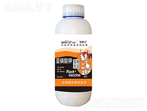�������-�ӵ·�-��Ⱥũҵ