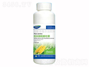 500g��������ˮ�ܷ���-����������׳��-��ҫũҵ