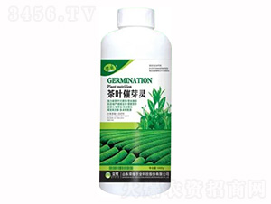 1000g��Ҷ��ѿ��-��ҫũҵ