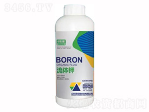 1300g�����л��ط�-�����-Ӣ����-��ҫũҵ