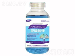 300g�������0-520-340+TE-��ҫũҵ