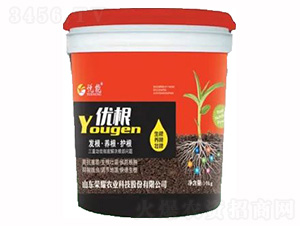 10kg�Ÿ�-��ҫũҵ