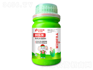���ֹ��л�ˮ�ܷ���-ԥ����-��������