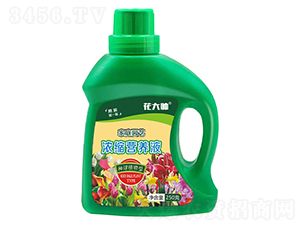 ����ֲ����Ũ��Ӫ��Һ-����˧-���ַ�ҵ