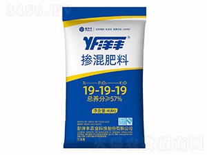 �������19-19-19-���ض�