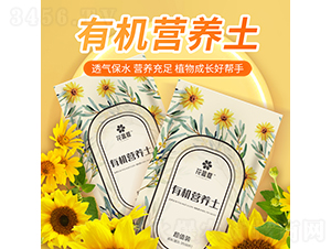 �л�Ӫ����-ֲ�ȴ�