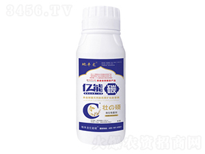 ׳˶500ML-����̼
