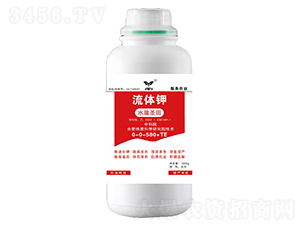�����0-0-580+TE-ˮ��ʥ��-³������