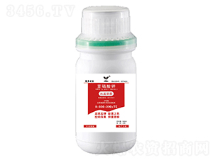 �������0-550-300+TE-ˮ��ʥ��-³������
