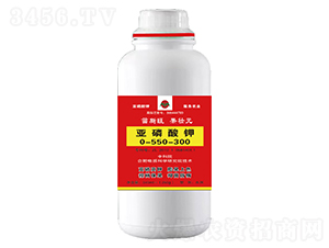 250g�������0-550-300-��˹������״Ԫ-³������