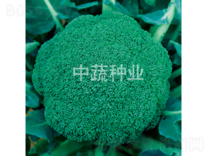 ����10��-�໨������-������ҵ