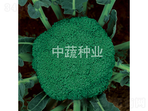 ����12-�໨������-������ҵ