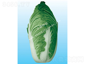 �а�66-�ײ�����-������ҵ