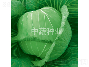 �и�9��-��������-������ҵ