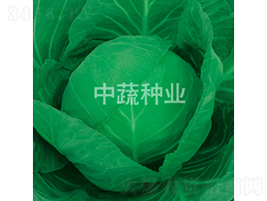 �и�16��-��������-������ҵ