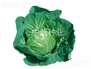 �и�15��-��������-������ҵ