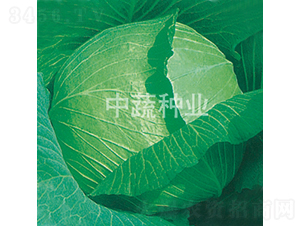 ����-��������-������ҵ