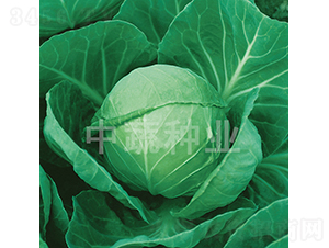 �и�21-��������-������ҵ