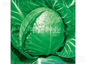 ���Բ����и�11-��������-������ҵ