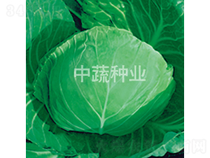�и�18��-��������-������ҵ