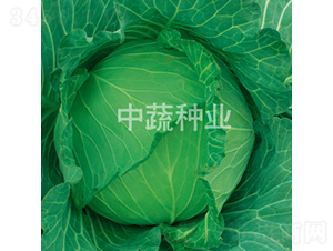 �и�101-��������-������ҵ